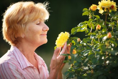 muttermitrosenpflanze_2.jpg muttermitrosenpflanze_2.jpg